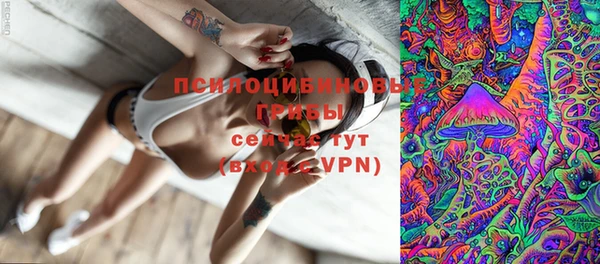 соль курить ск Бородино