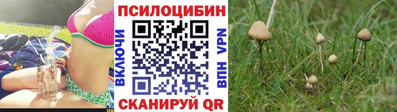 купить закладку  Певек  Галлюциногенные грибы прущие грибы 